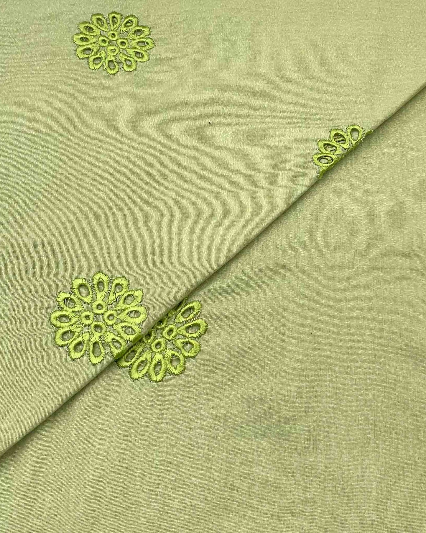 Silk Karandi Boring Embroidery D3C013