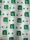 Pakistani Flag Seamless Pattern PAK009